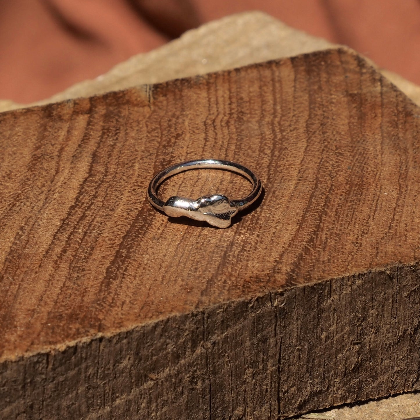 SILVER STACKERS
